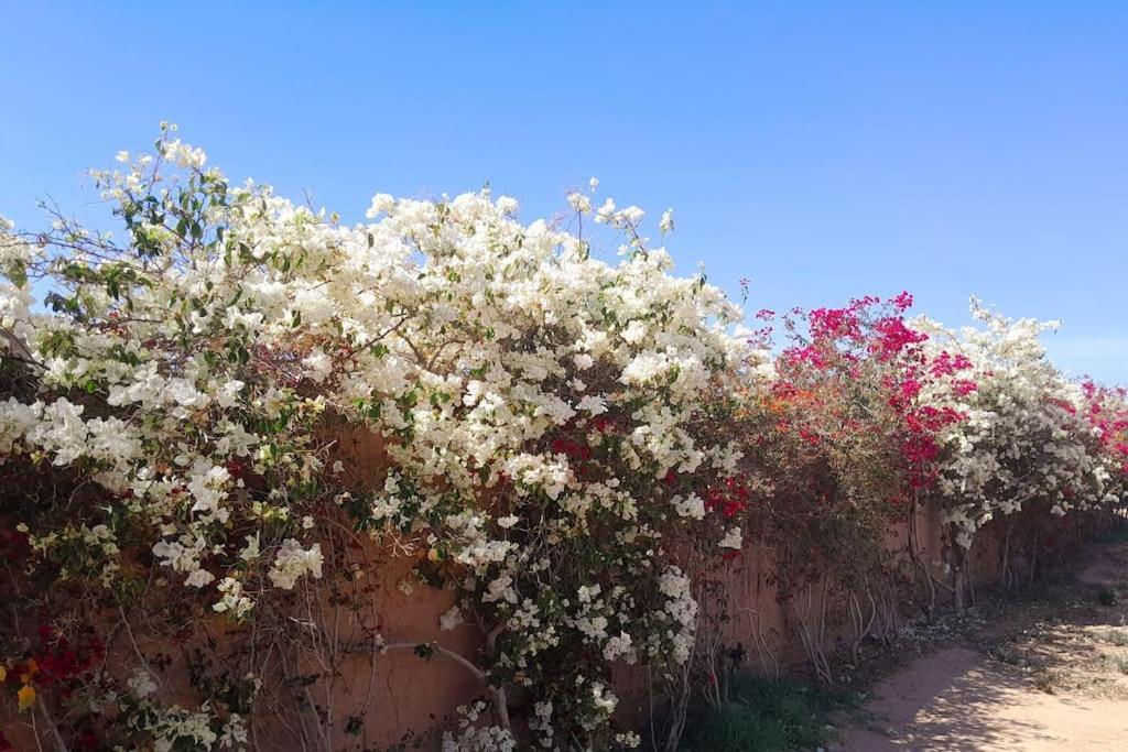 Villa Agora, Villa A La Campagne Proche Marrakech Sidi Abdallah Ghiat Eksteriør billede