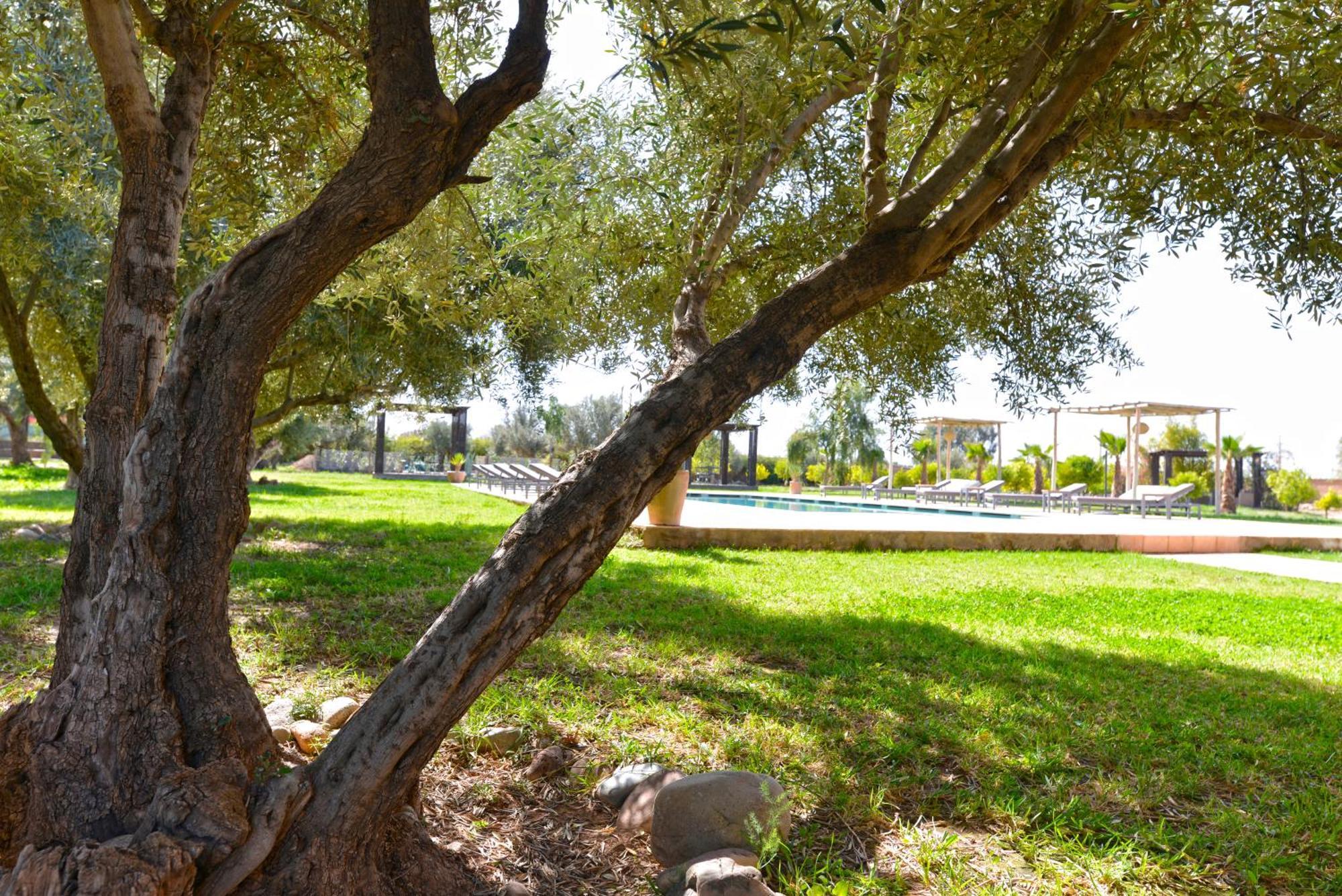 Villa Agora, Villa A La Campagne Proche Marrakech Sidi Abdallah Ghiat Eksteriør billede